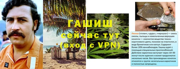 гашик Алексеевка