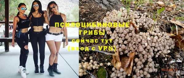 гашик Алексеевка