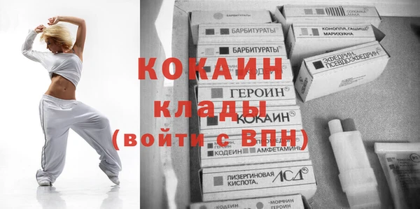 гашик Алексеевка