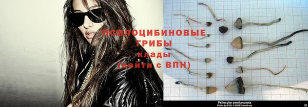 кокс Алзамай